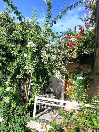 Lonos Circle Terrace View Ξενοδοχείο Romblon Εξωτερικό φωτογραφία